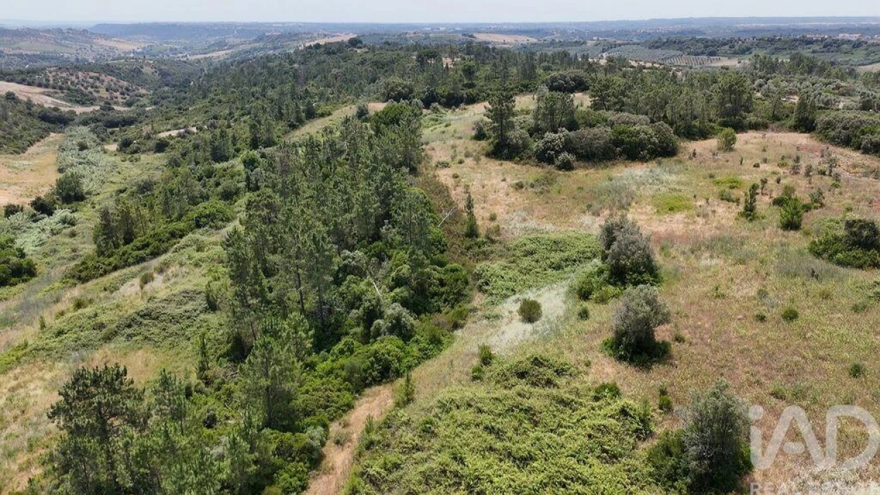 Terreno para Venda em Azambujeira e Malaqueijo Foto 29