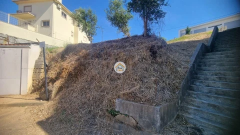 Terreno para Venda em Friande