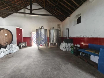 Armazém para Venda em Carvoeira e Carmões
