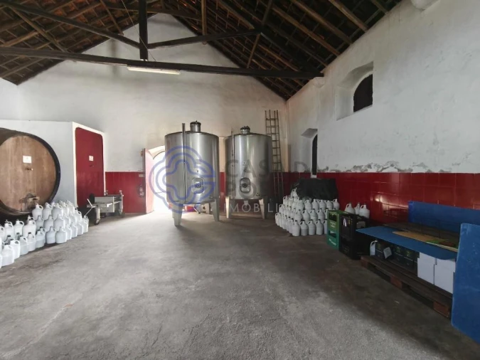 Armazém para Venda em Carvoeira e Carmões Foto 4