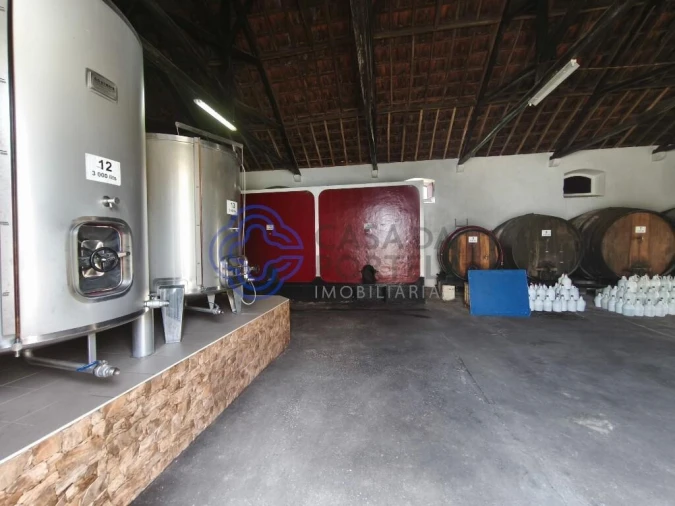 Armazém para Venda em Carvoeira e Carmões Foto 2