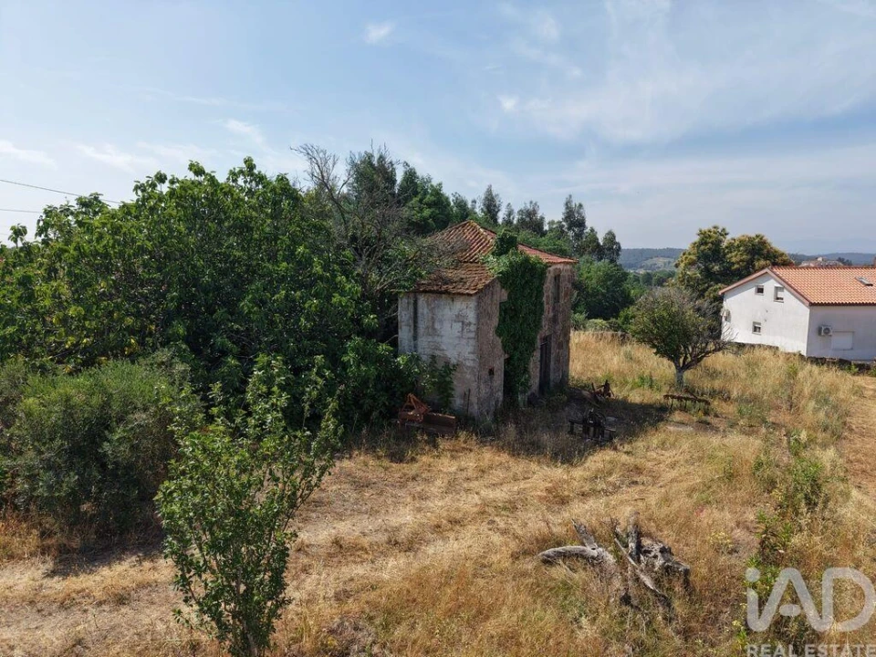 Terreno para Venda em Santa Comba Dão e Couto do Mosteiro Foto 4