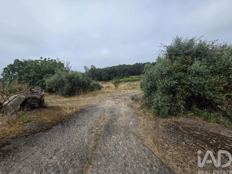Terreno para Venda em Santa Comba Dão e Couto do Mosteiro Foto 20
