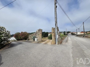 Terreno para Venda em Santa Comba Dão e Couto do Mosteiro