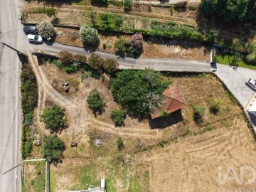 Terreno para Venda em Santa Comba Dão e Couto do Mosteiro