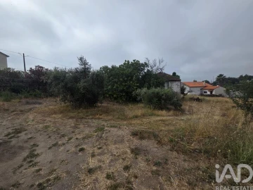 Terreno para Venda em Santa Comba Dão e Couto do Mosteiro