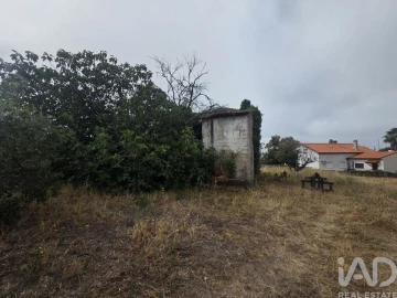 Terreno para Venda em Santa Comba Dão e Couto do Mosteiro