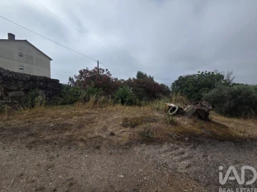 Terreno para Venda em Santa Comba Dão e Couto do Mosteiro
