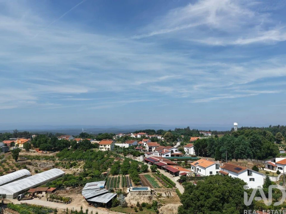 Terreno para Venda em Santa Comba Dão e Couto do Mosteiro Foto 10