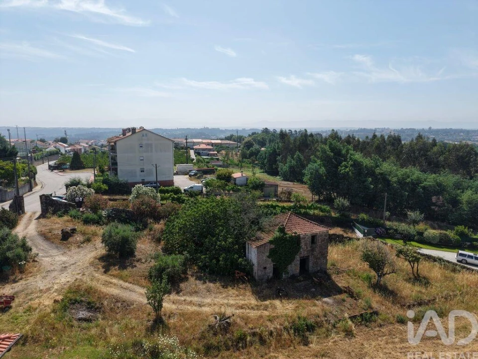 Terreno para Venda em Santa Comba Dão e Couto do Mosteiro Foto 1