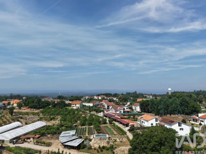 Terreno para Venda em Santa Comba Dão e Couto do Mosteiro Foto 10