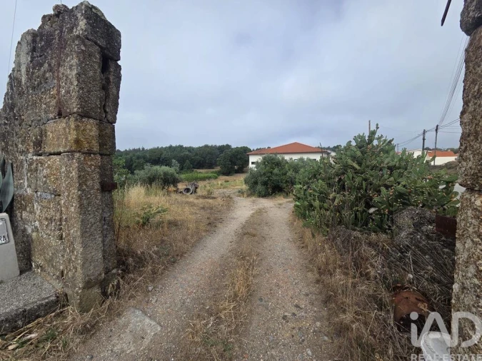Terreno para Venda em Santa Comba Dão e Couto do Mosteiro Foto 17