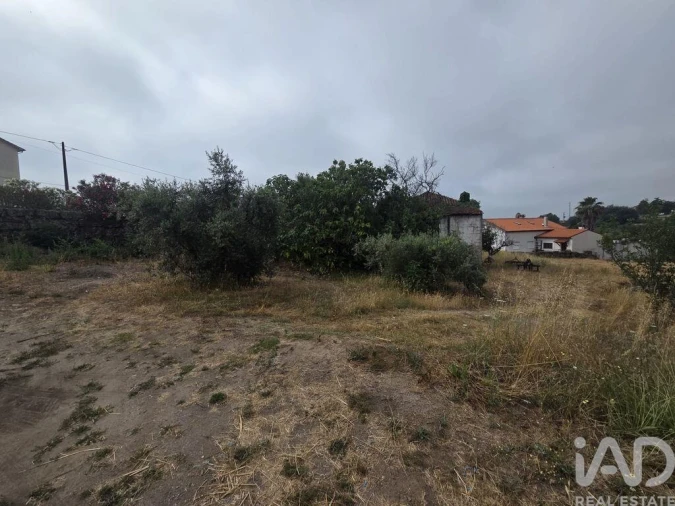 Terreno para Venda em Santa Comba Dão e Couto do Mosteiro Foto 30