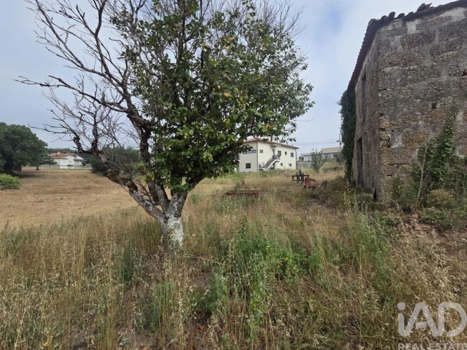Terreno para Venda em Santa Comba Dão e Couto do Mosteiro Foto 25