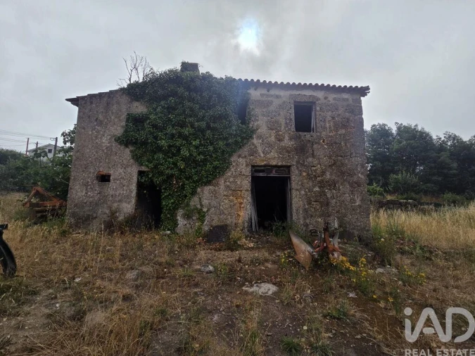 Terreno para Venda em Santa Comba Dão e Couto do Mosteiro Foto 22
