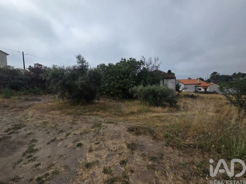 Terreno para Venda em Santa Comba Dão e Couto do Mosteiro Foto 30