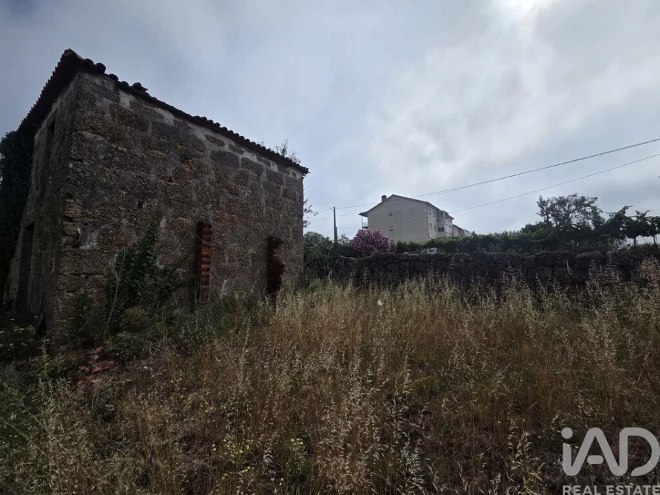 Terreno para Venda em Santa Comba Dão e Couto do Mosteiro Foto 24