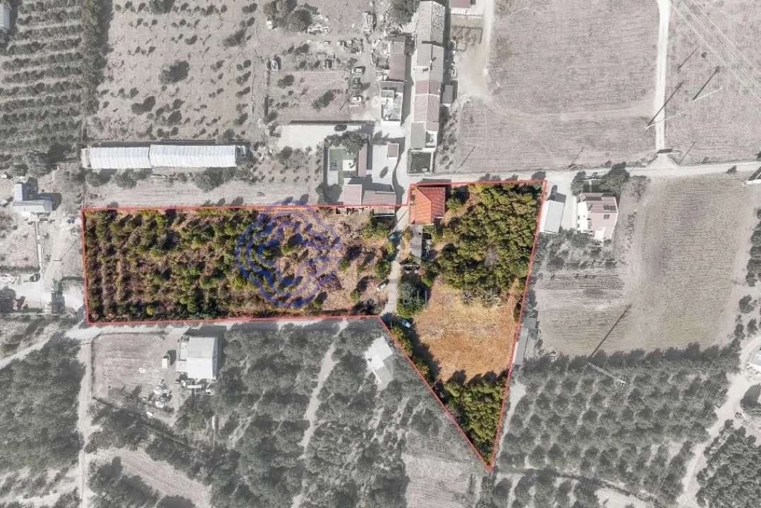 Moradia T4 para Venda em Conceição e Estoi Foto 40