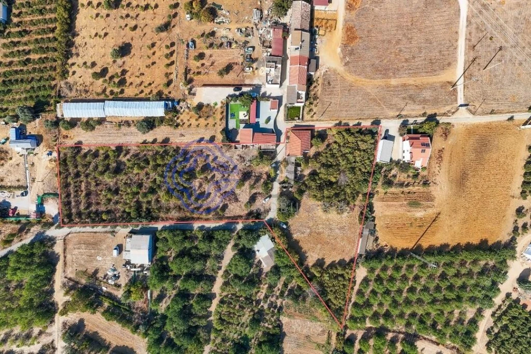 Moradia T4 para Venda em Conceição e Estoi Foto 39
