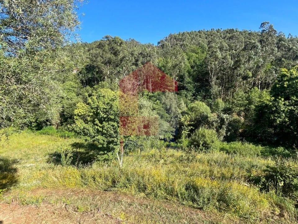 Moradia T1 para Venda em Pico de Regalados, Gondiães e Mós Foto 9