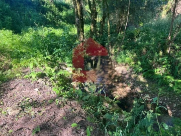 Moradia T1 para Venda em Pico de Regalados, Gondiães e Mós