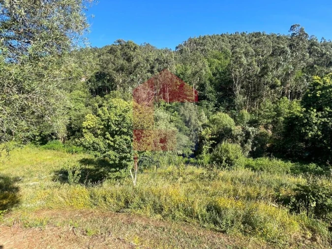 Moradia T1 para Venda em Pico de Regalados, Gondiães e Mós Foto 9
