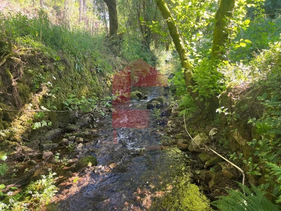 Moradia T1 para Venda em Pico de Regalados, Gondiães e Mós Foto 11