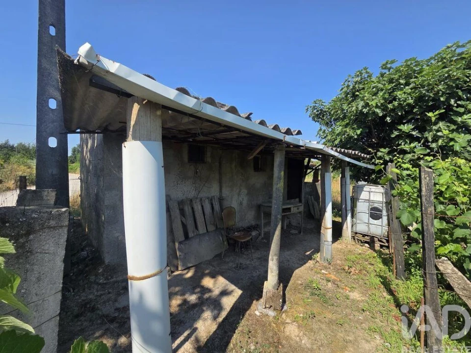 Terreno para Venda em Santa Comba Dão e Couto do Mosteiro Foto 3