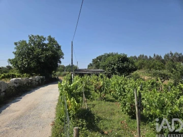 Terreno para Venda em Santa Comba Dão e Couto do Mosteiro