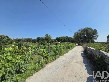 Terreno para Venda em Santa Comba Dão e Couto do Mosteiro