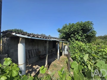 Terreno para Venda em Santa Comba Dão e Couto do Mosteiro