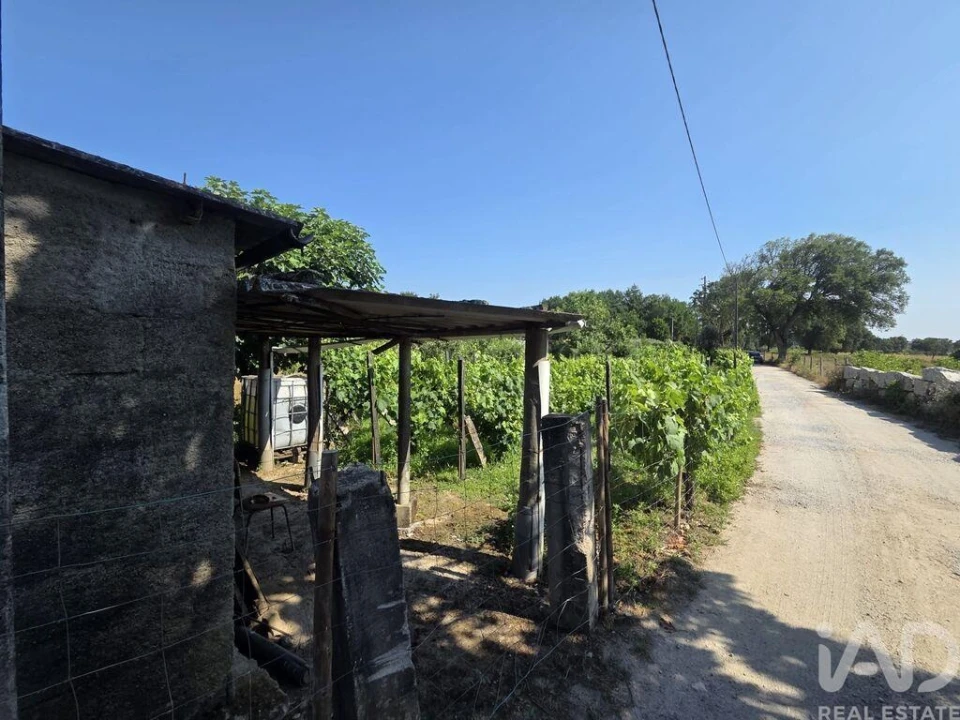 Terreno para Venda em Santa Comba Dão e Couto do Mosteiro Foto 4
