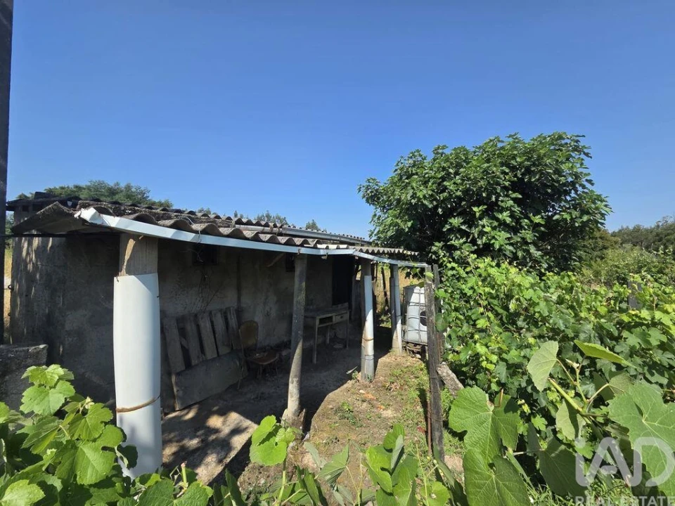 Terreno para Venda em Santa Comba Dão e Couto do Mosteiro Foto 5