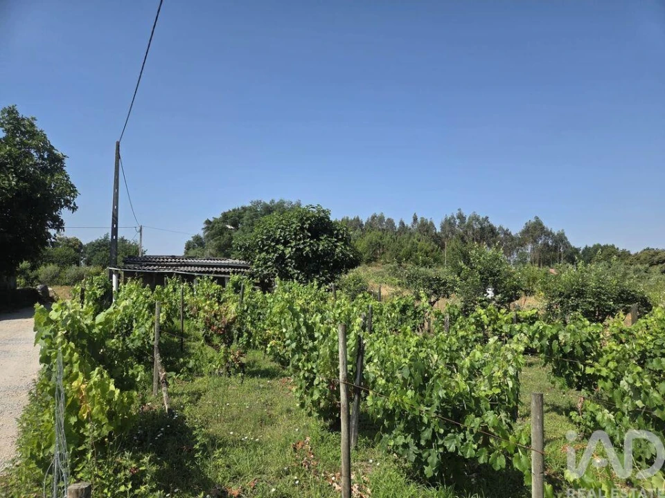 Terreno para Venda em Santa Comba Dão e Couto do Mosteiro Foto 1