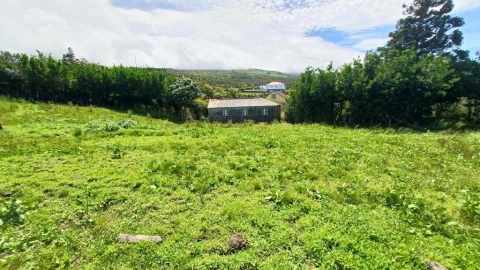 Moradia T2 para Venda em Norte Grande (Neves)