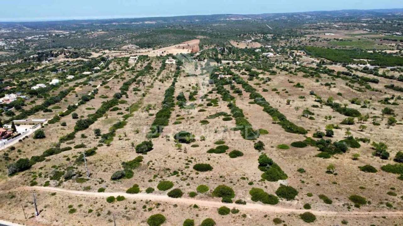 Terreno para Venda em Luz Foto 8