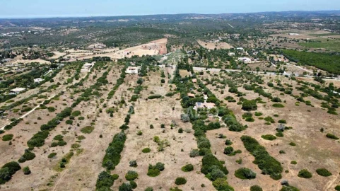 Terreno para Venda em Luz