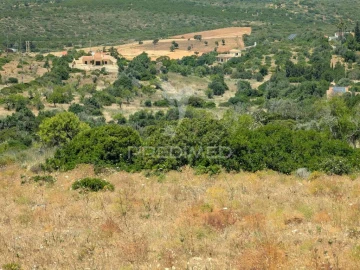 Terreno para Venda em Luz