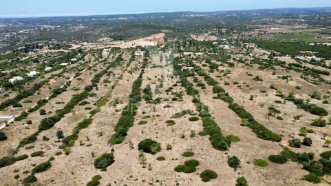 Terreno para Venda em Luz