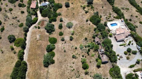 Terreno para Venda em Luz