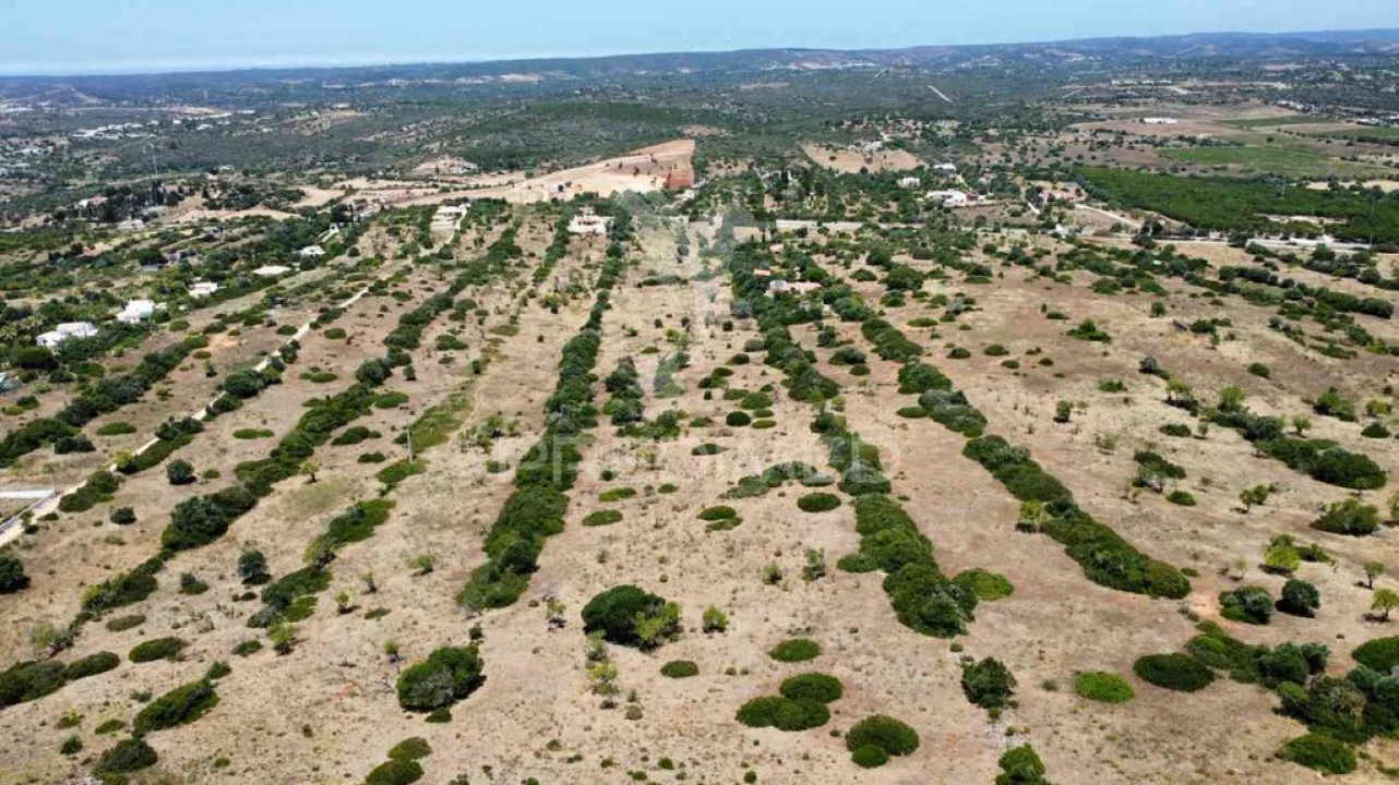 Terreno para Venda em Luz Foto 7