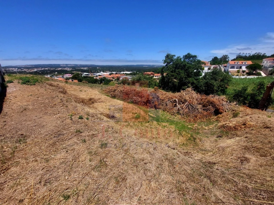 Terreno para Venda em Nossa Senhora do Pópulo, Coto e São Gregório Foto 8