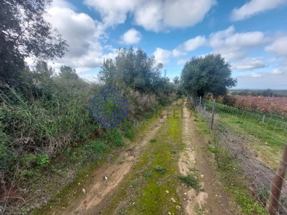 Terreno para Venda em Azeitão (São Lourenço e São Simão) Foto 37
