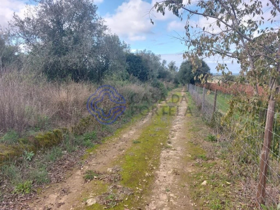 Terreno para Venda em Azeitão (São Lourenço e São Simão) Foto 44