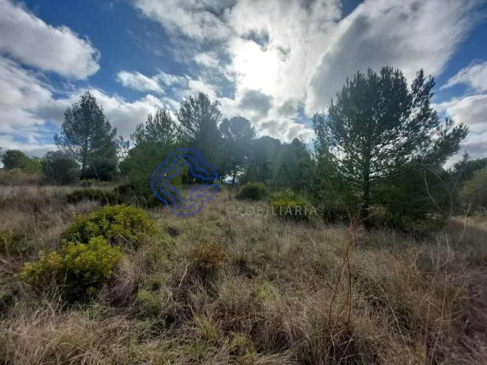 Terreno para Venda em Azeitão (São Lourenço e São Simão) Foto 35