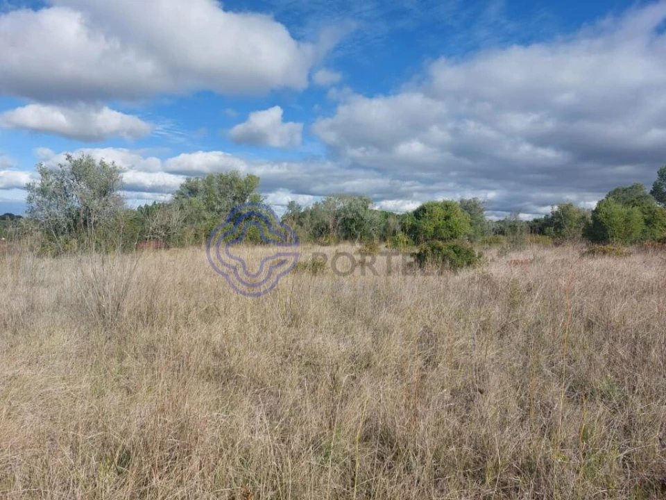 Terreno para Venda em Azeitão (São Lourenço e São Simão) Foto 23