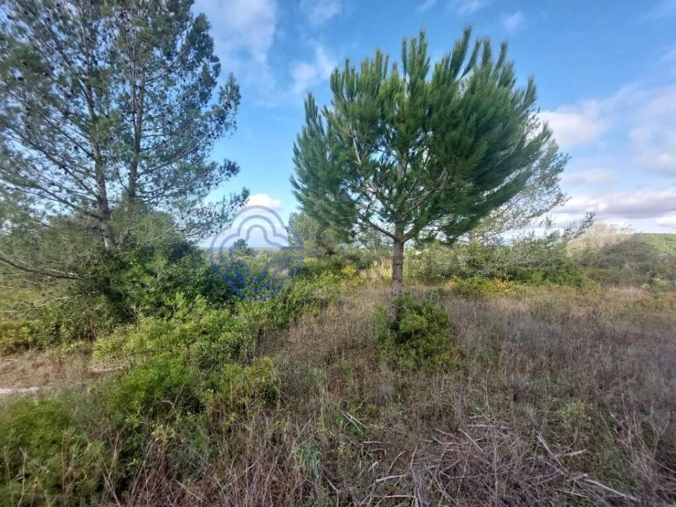 Terreno para Venda em Azeitão (São Lourenço e São Simão) Foto 18
