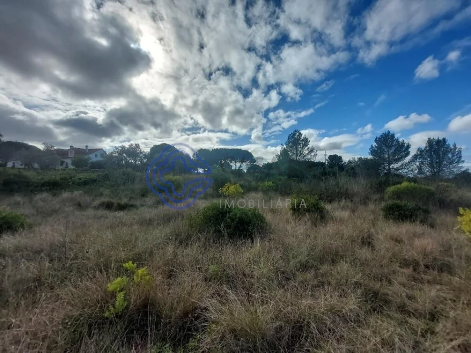 Terreno para Venda em Azeitão (São Lourenço e São Simão) Foto 7
