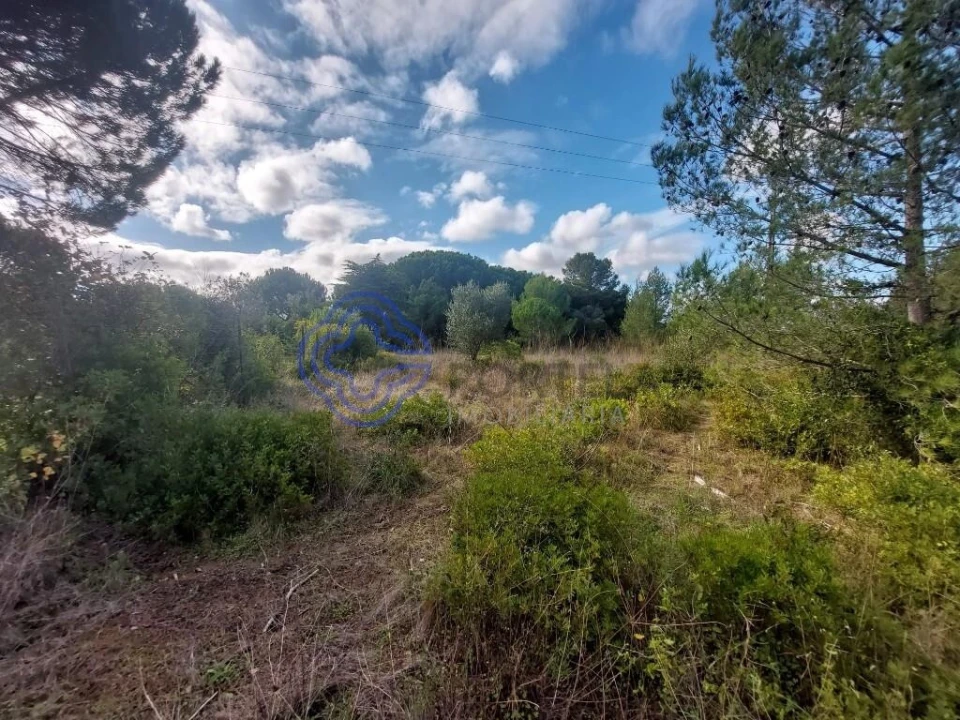 Terreno para Venda em Azeitão (São Lourenço e São Simão) Foto 15