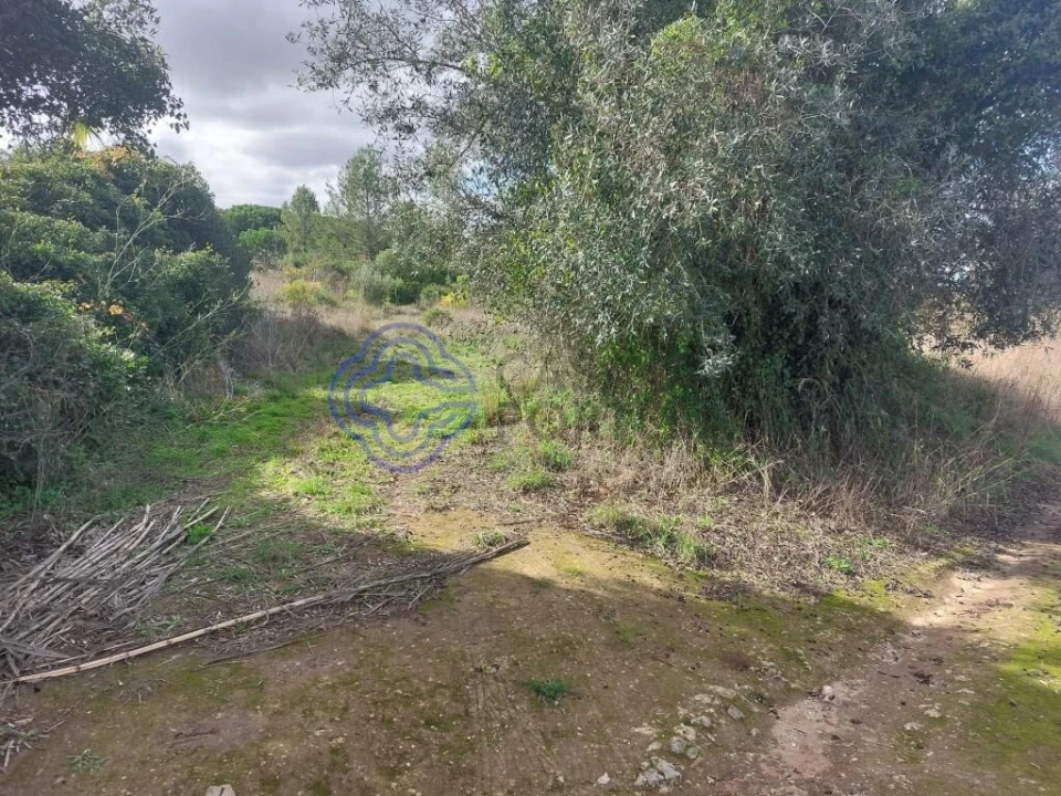 Terreno para Venda em Azeitão (São Lourenço e São Simão) Foto 46
